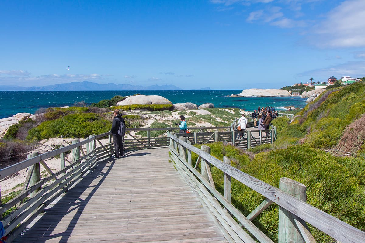 4 atrações imperdíveis em Cape Town e arredores di africa bouldersbeach06