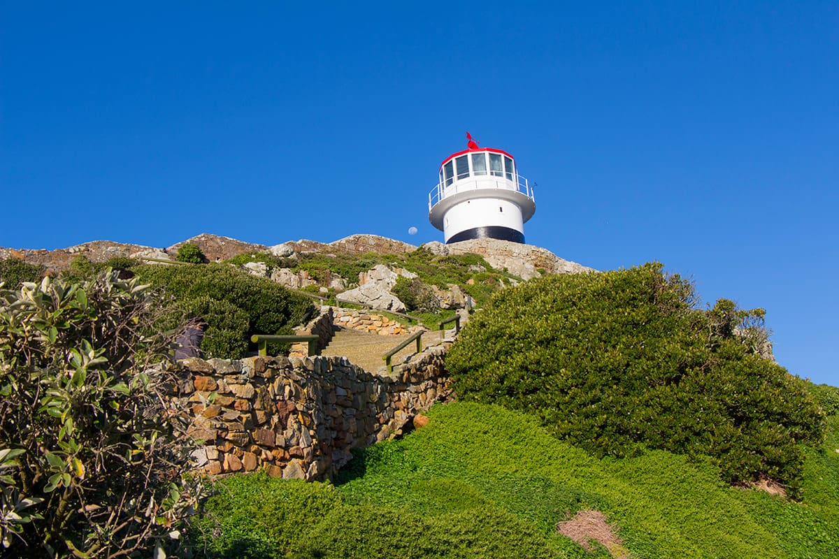 4 atrações imperdíveis em Cape Town e arredores di africa capepoint03