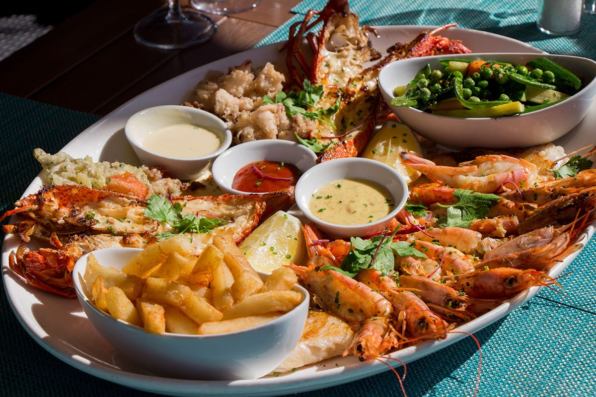 4 atrações imperdíveis em Cape Town e arredores di africa capepoint04