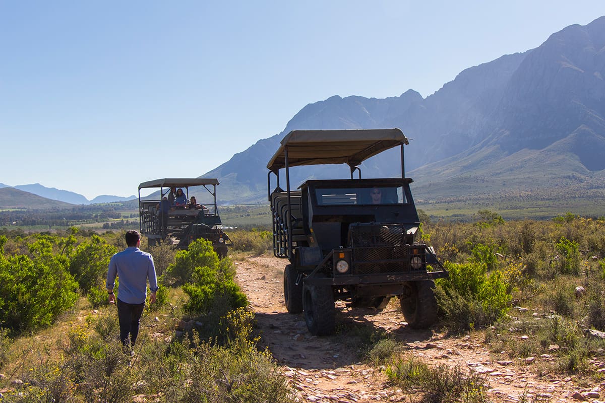 4 atrações imperdíveis em Cape Town e arredores di africa fairyglen03