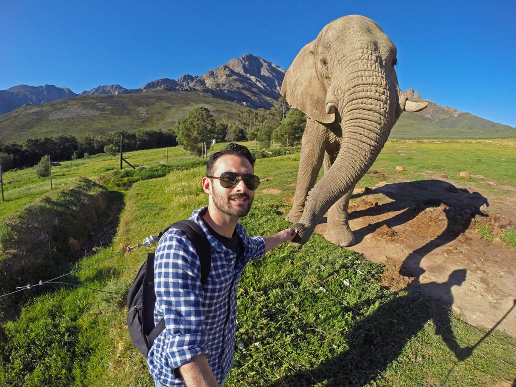 Elefante no Fairy Glen Game Reserve