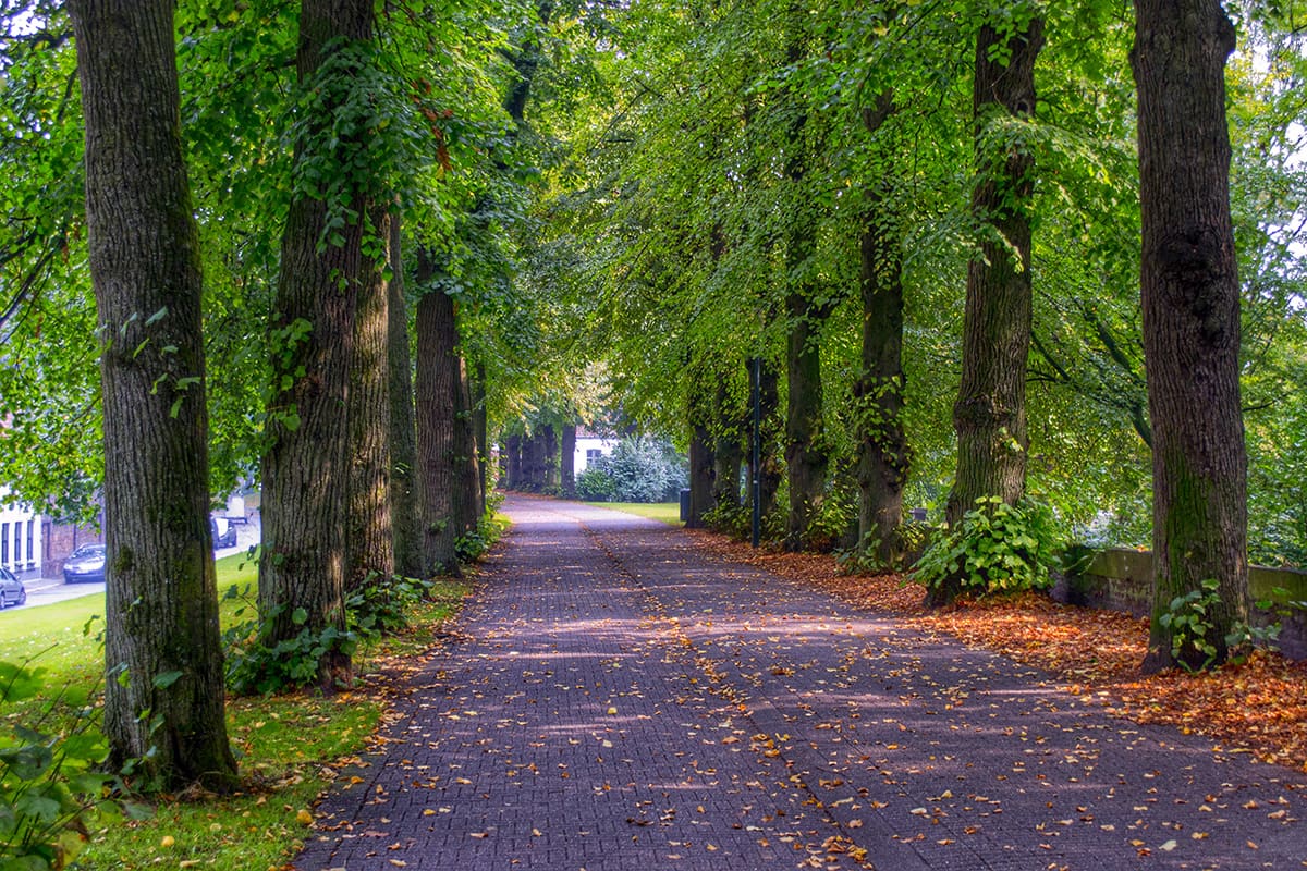 Minnewater Park - O que fazer em Bruges