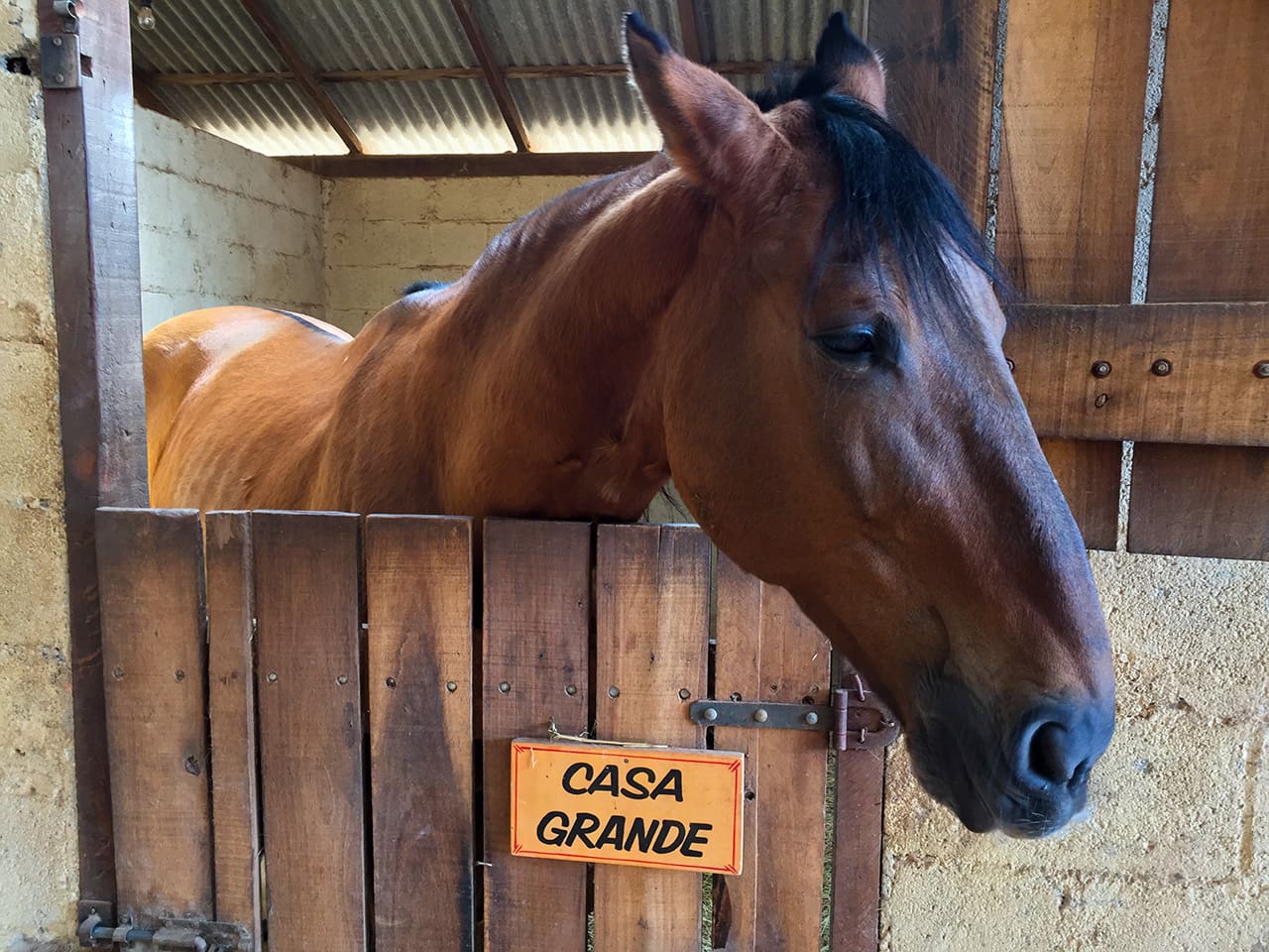 O que fazer em Monte Verde/MG di monteverde17