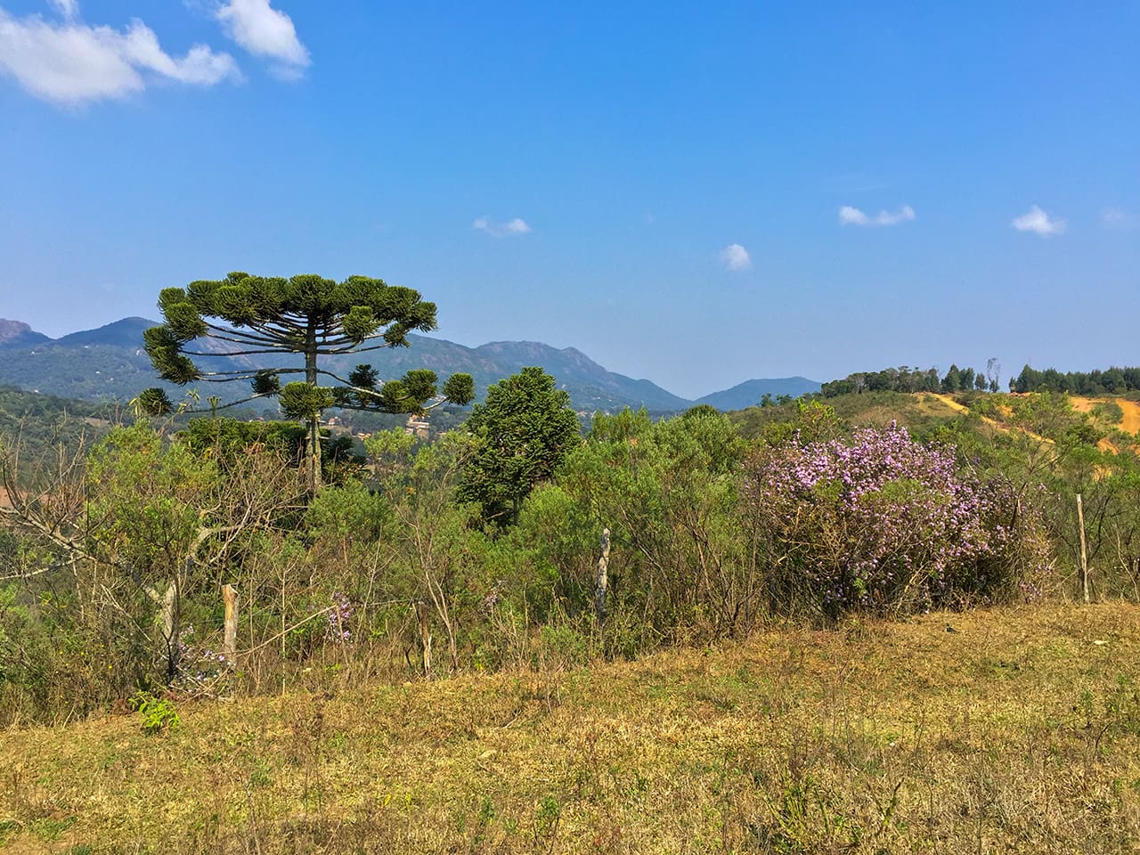 O que fazer em Monte Verde/MG di monteverde18