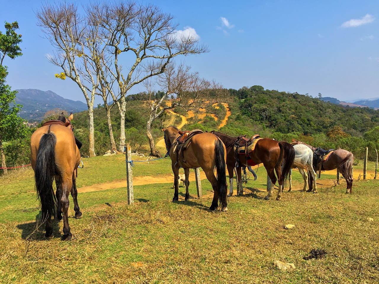 O que fazer em Monte Verde/MG di monteverde19
