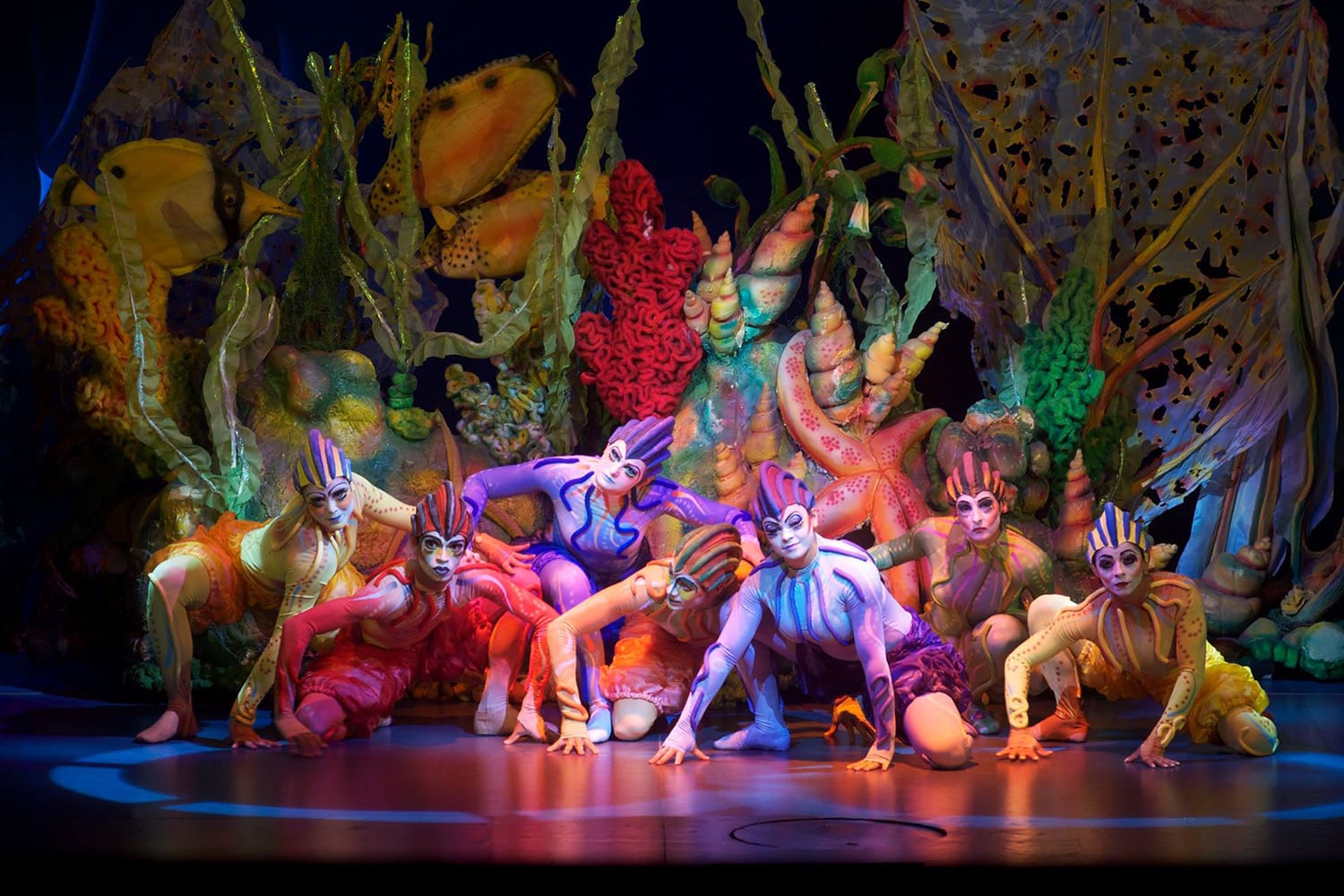 Beto Carrero - Shows