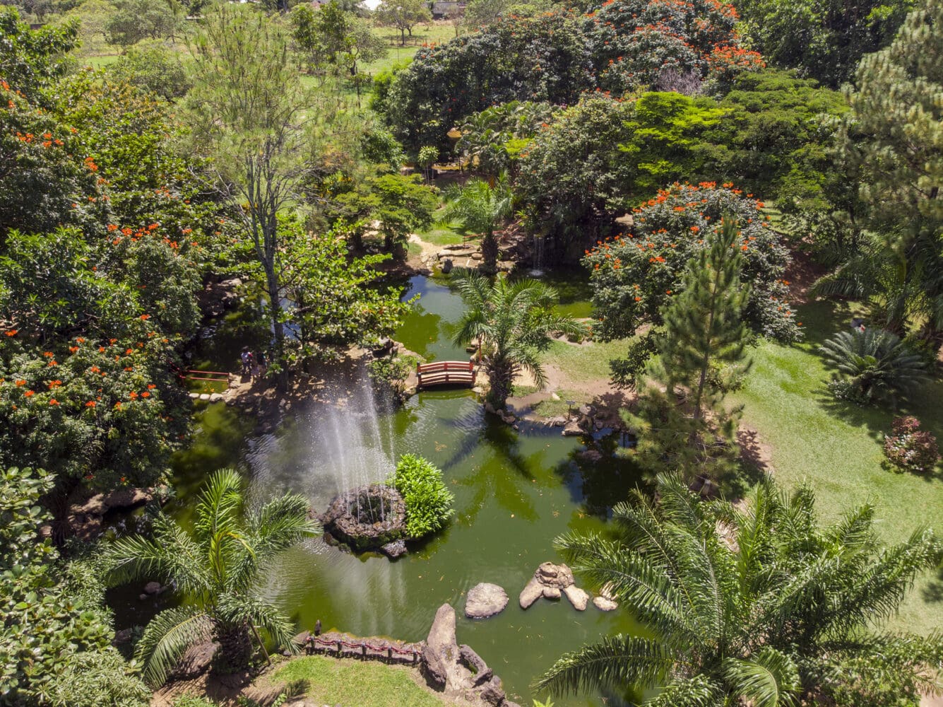Caldas Novas - Jardim Japonês