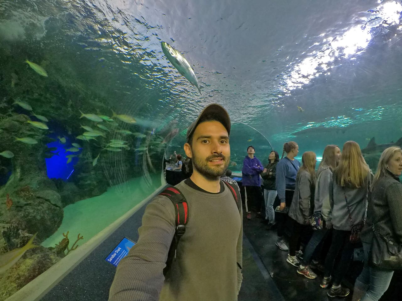 Toronto - Ripley's Aquarium