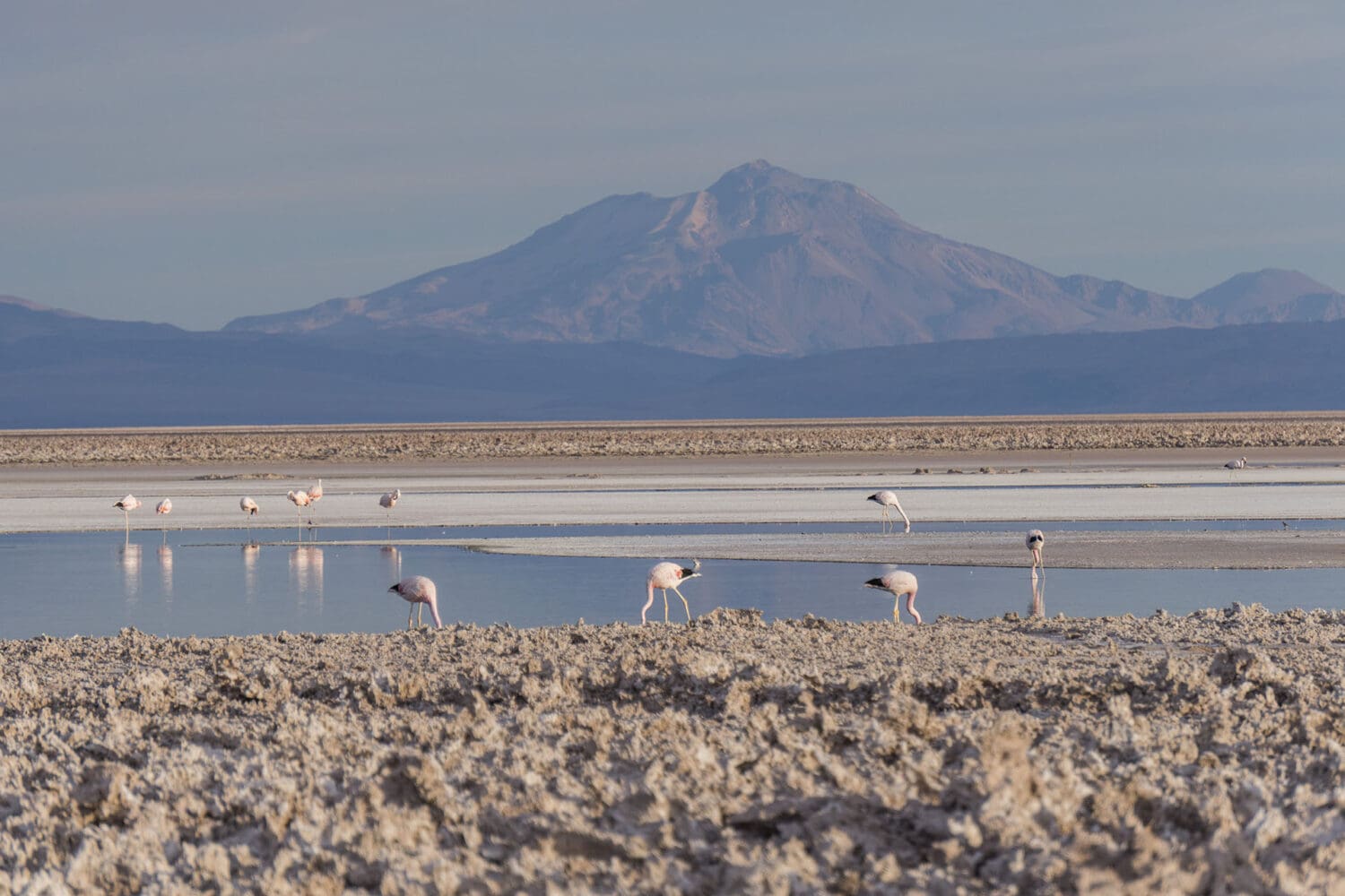 O que fazer no Atacama? - Parte 1 di salar do atacama01