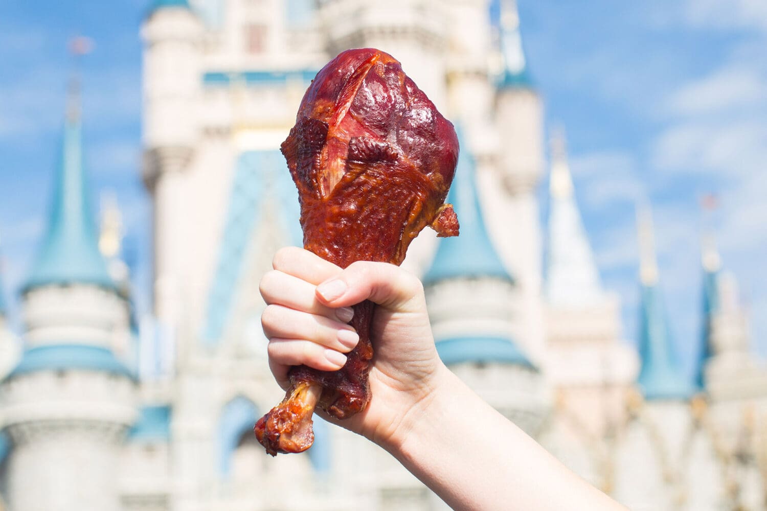 25 curiosidades da Disney que você não sabia di turkeyleg