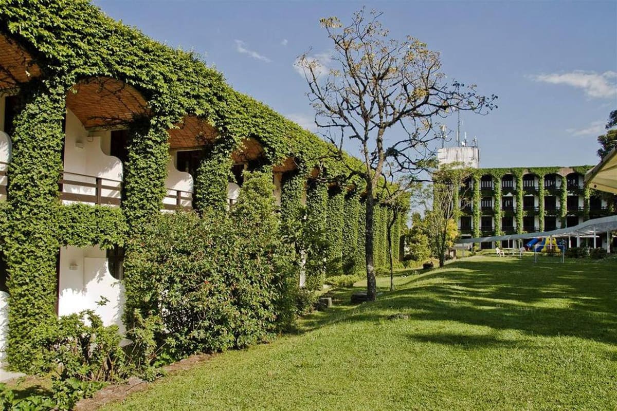 Canela - Laje de Pedra