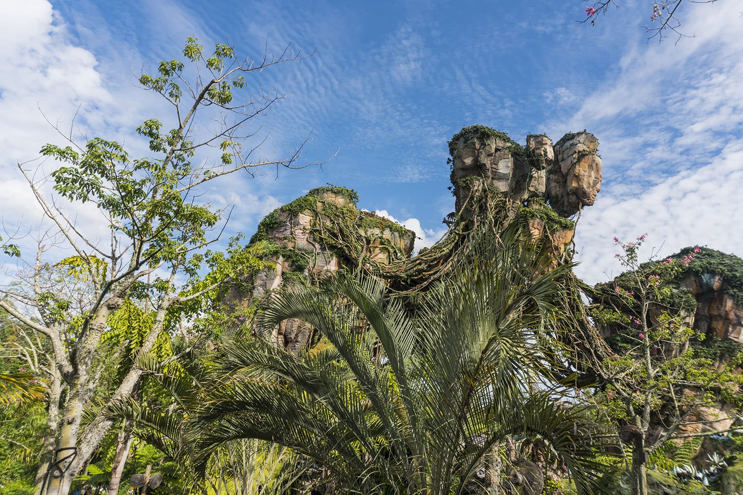 Pandora: World of Avatar