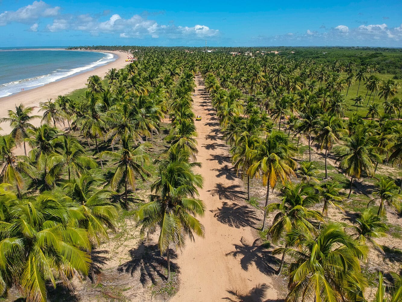 Passeio de Buggy em Porto de Galinhas