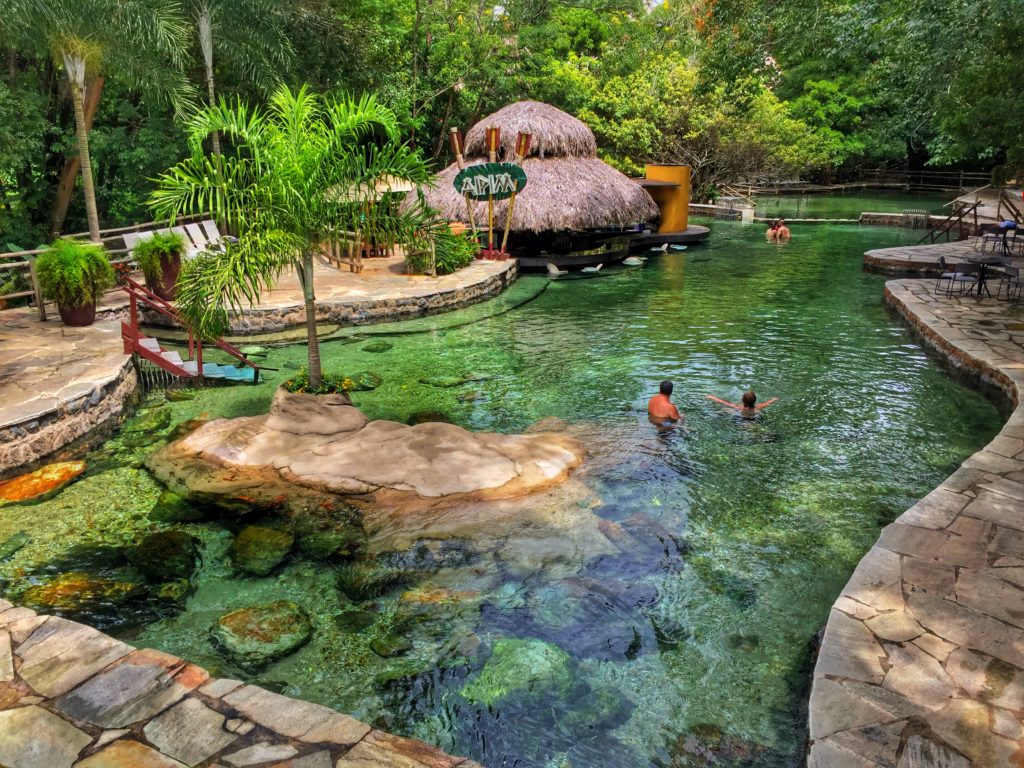 piscinas naturais com um coqueiro no meio da água