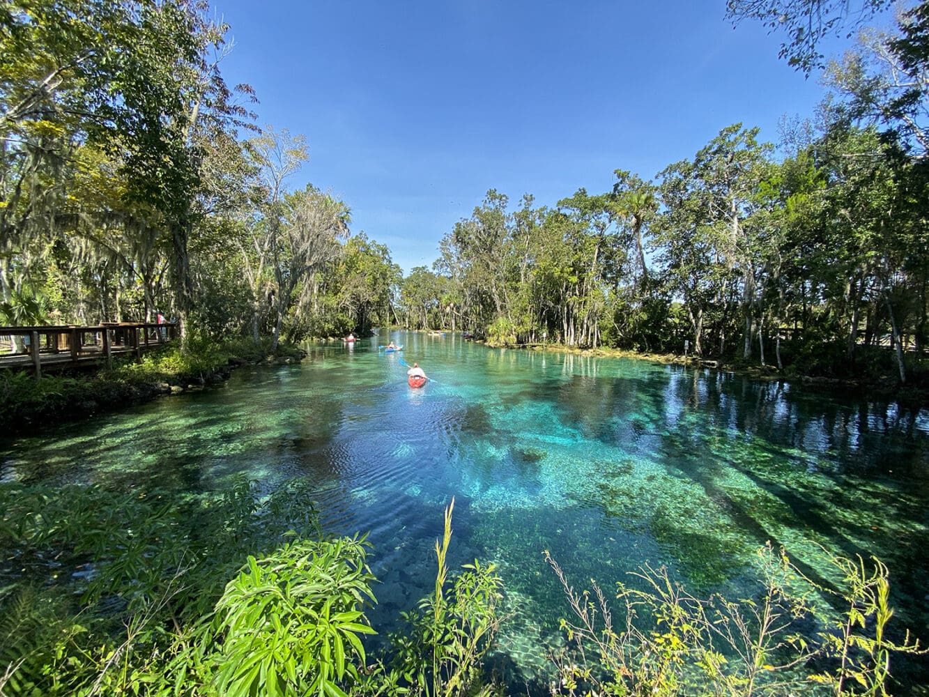 Three Sisters Springs - Crystal River
