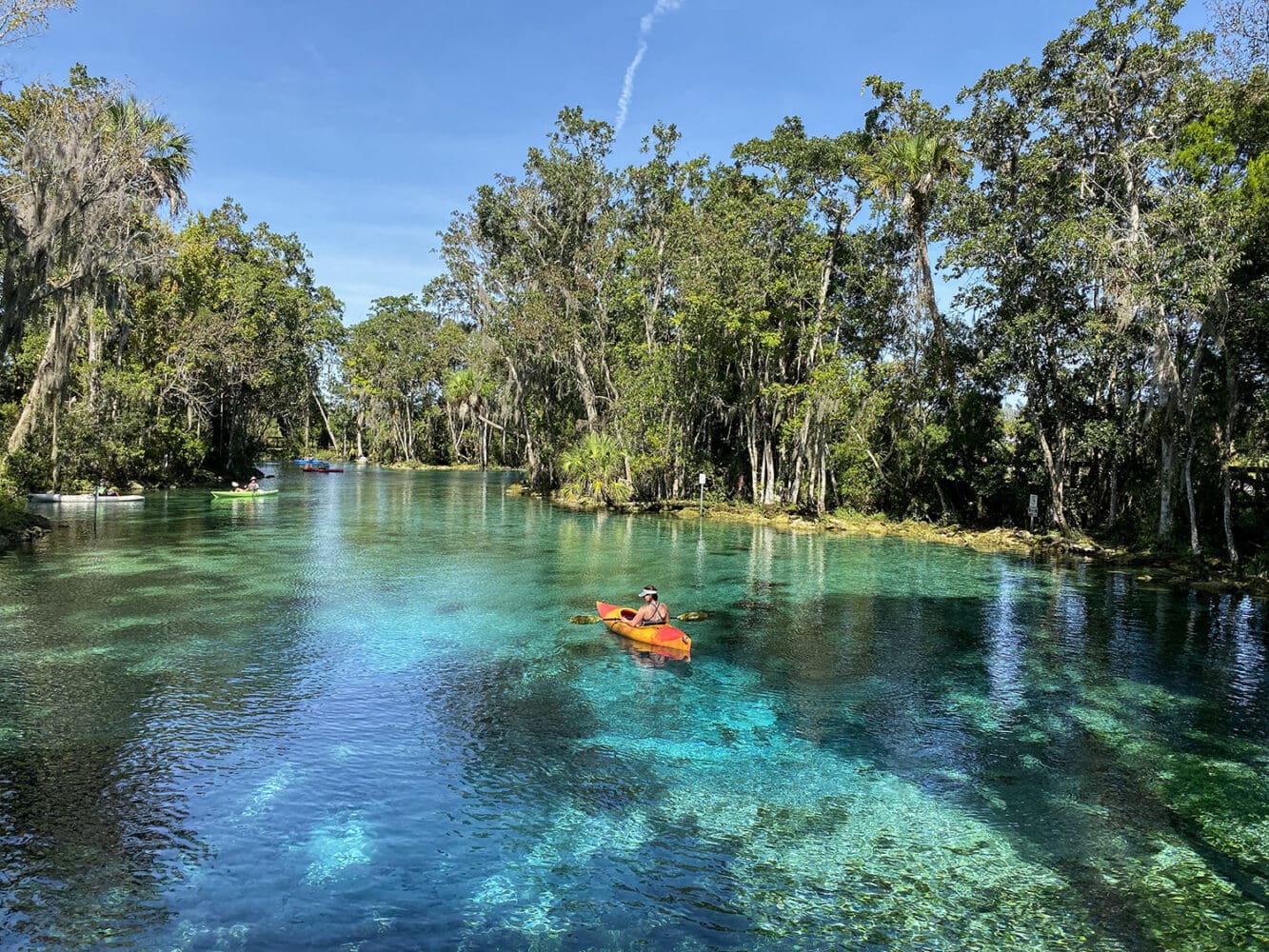 Three Sisters Springs - Crystal River