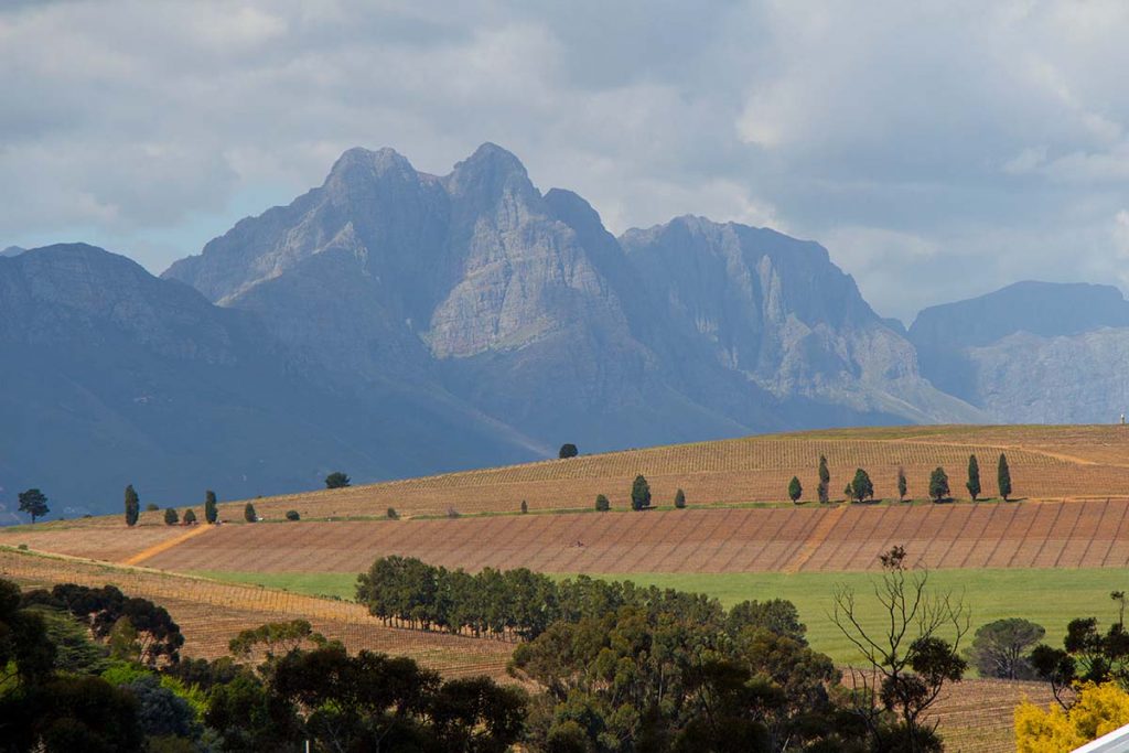 The House of JC Le Roux