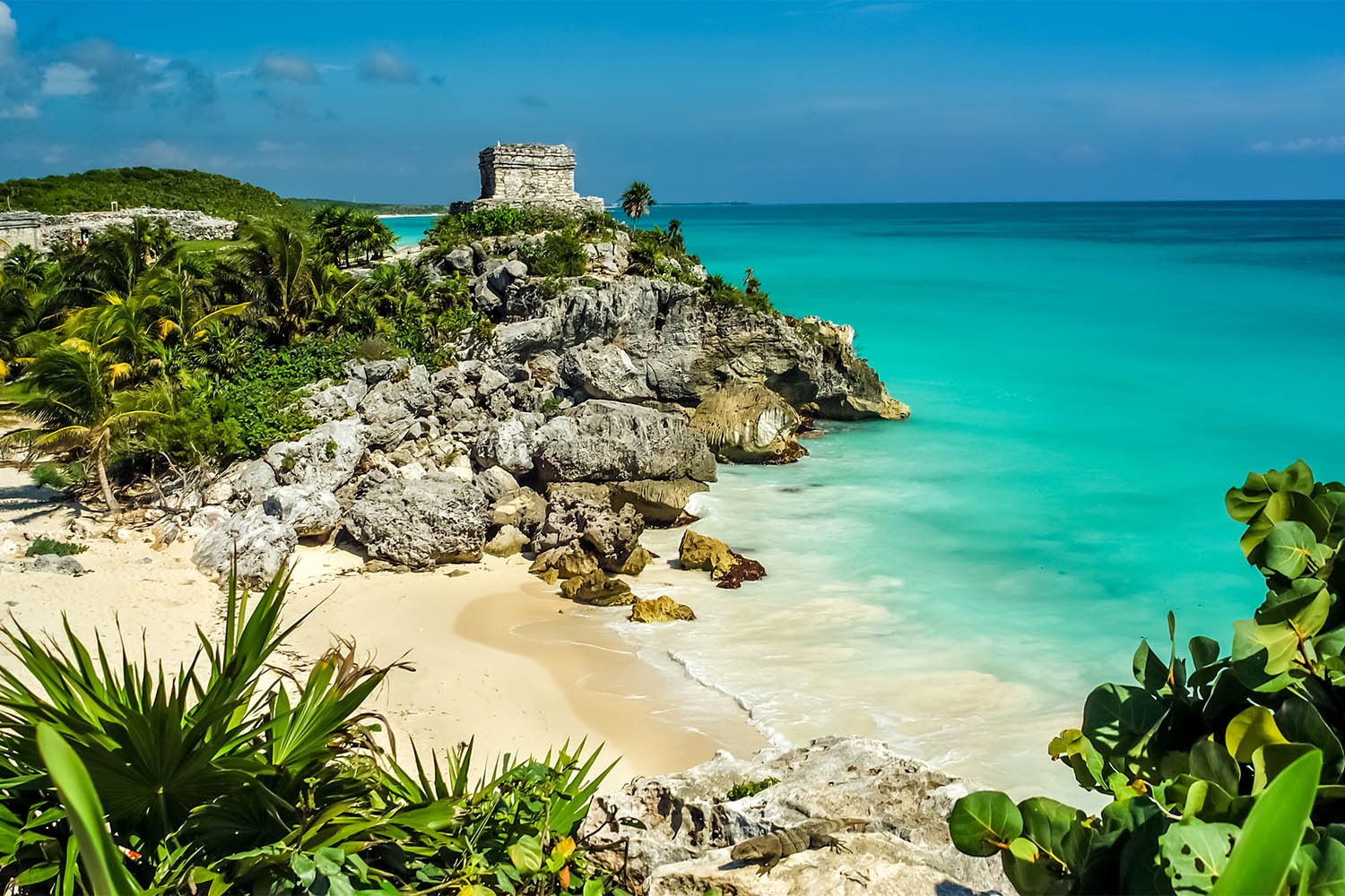 tulum mexico excursions