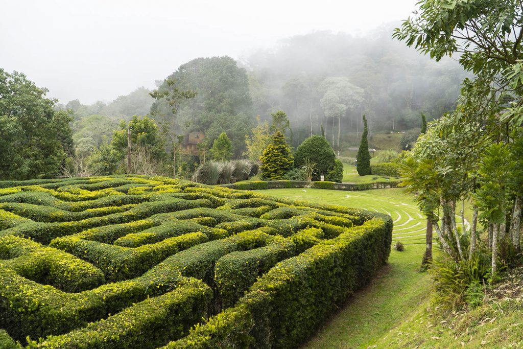 O que fazer em Campos do Jordão? campos amantikir01