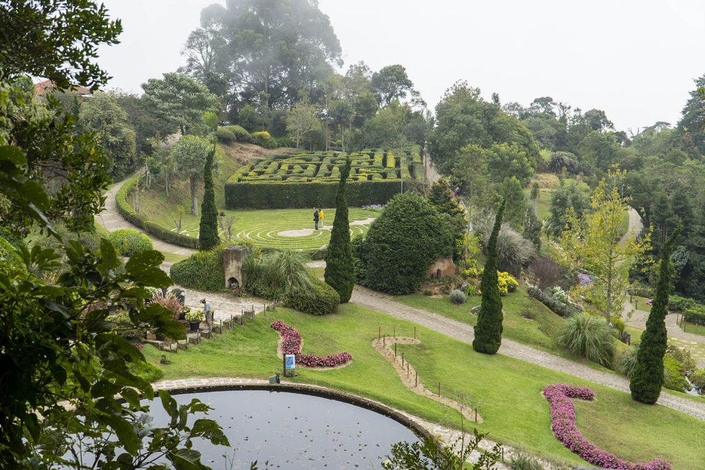 O que fazer em Campos do Jordão? campos amantikir02