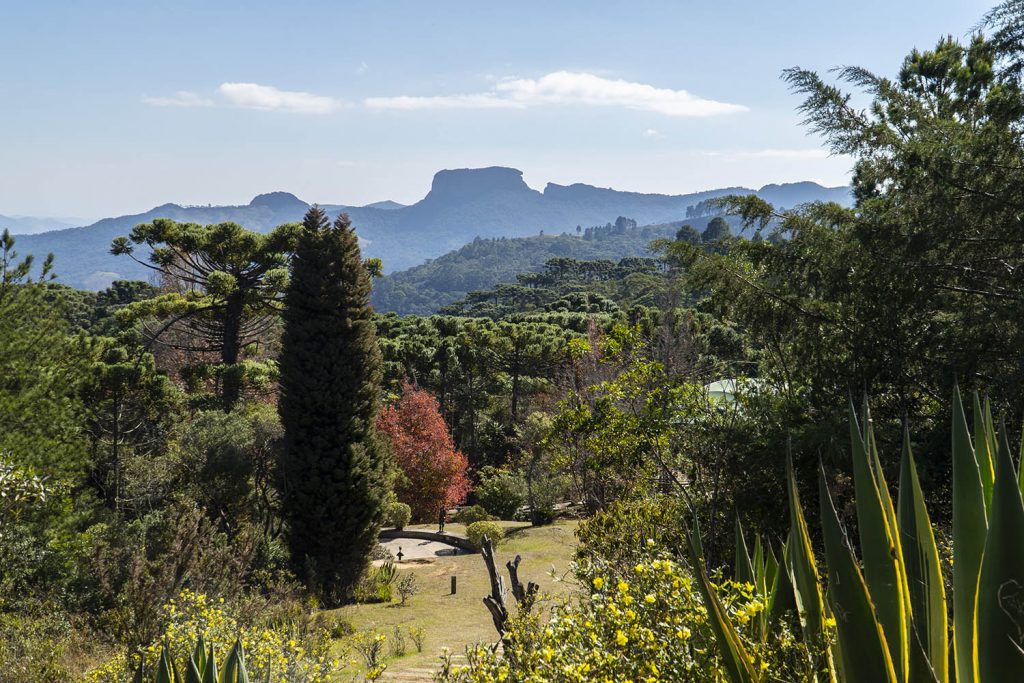 O que fazer em Campos do Jordão? campos felicia leirner02