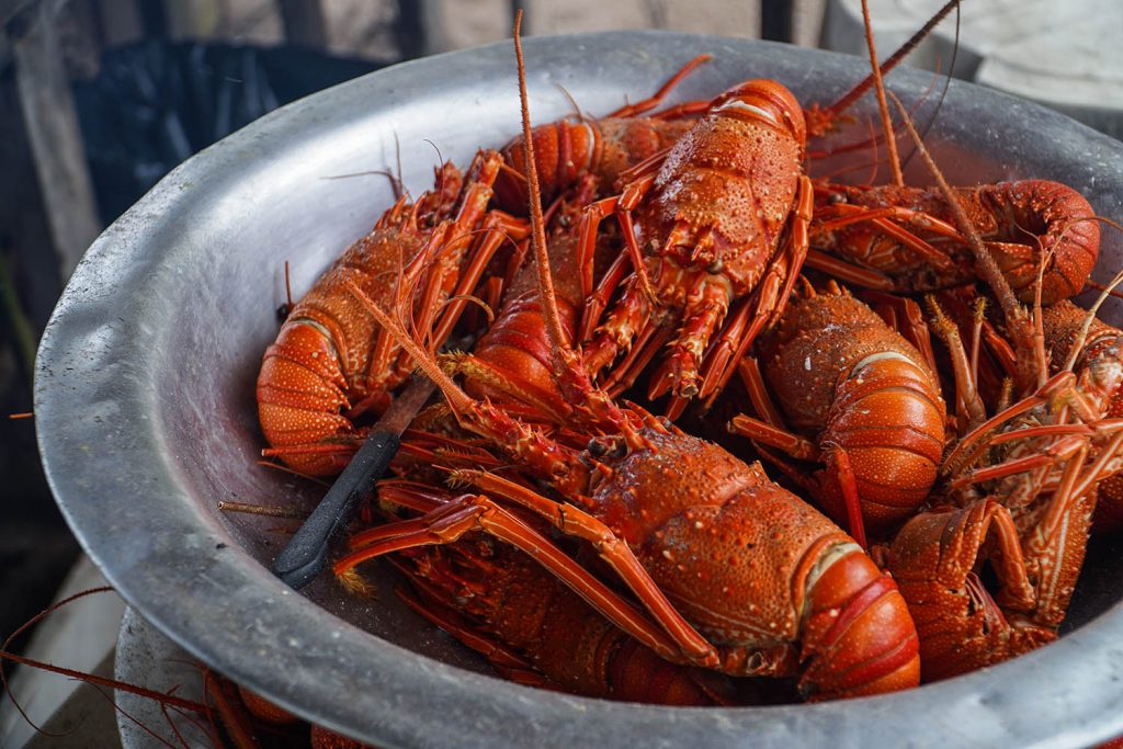 O que fazer em Morro de São Paulo? lagosta guidos