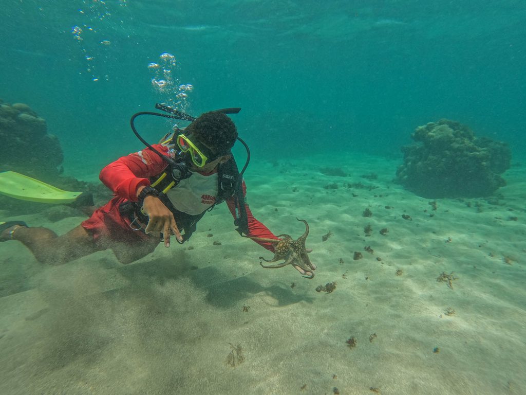 O que fazer no Rio Grande do Norte maracajau 02