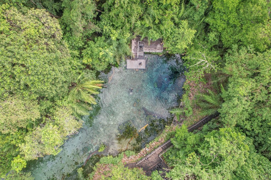 Bonito - Nascente Azul