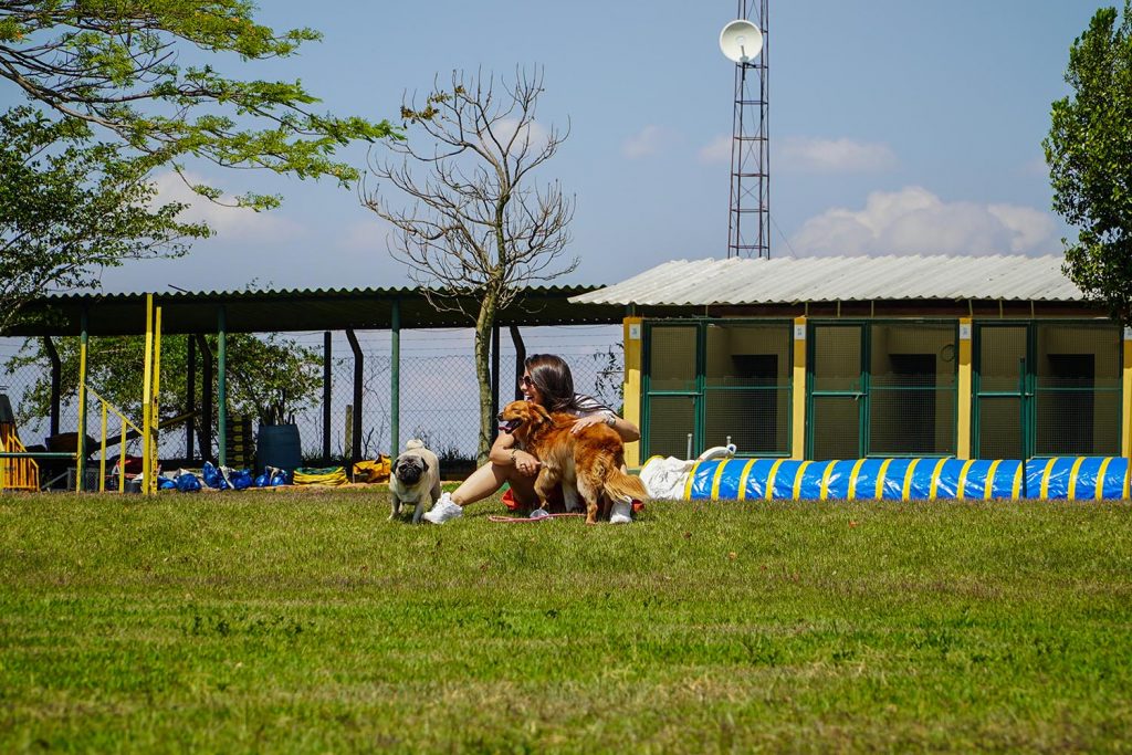 5 características de uma boa hospedagem pet clube de caompo03
