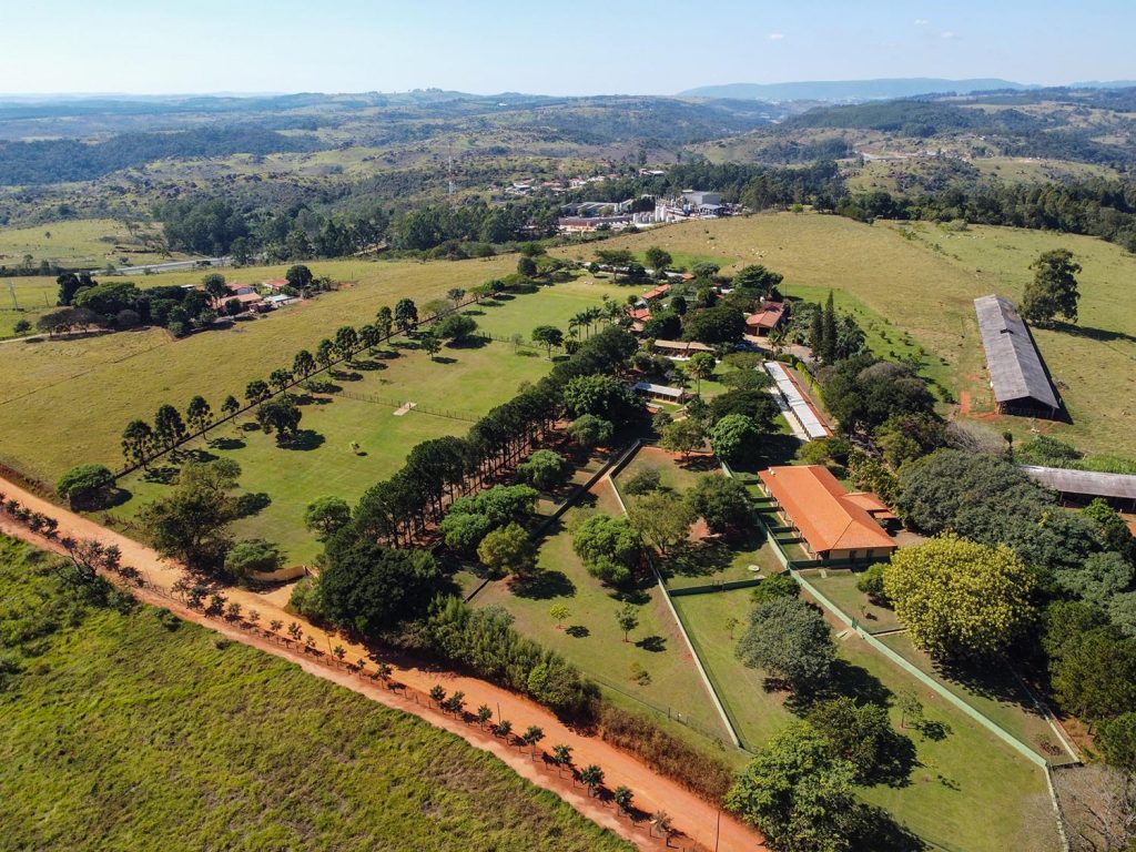 5 características de uma boa hospedagem pet clube de caompo04