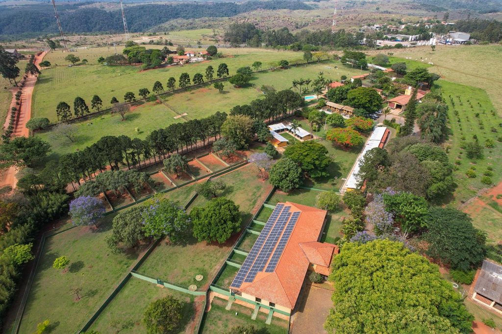 5 características de uma boa hospedagem pet clube de caompo06