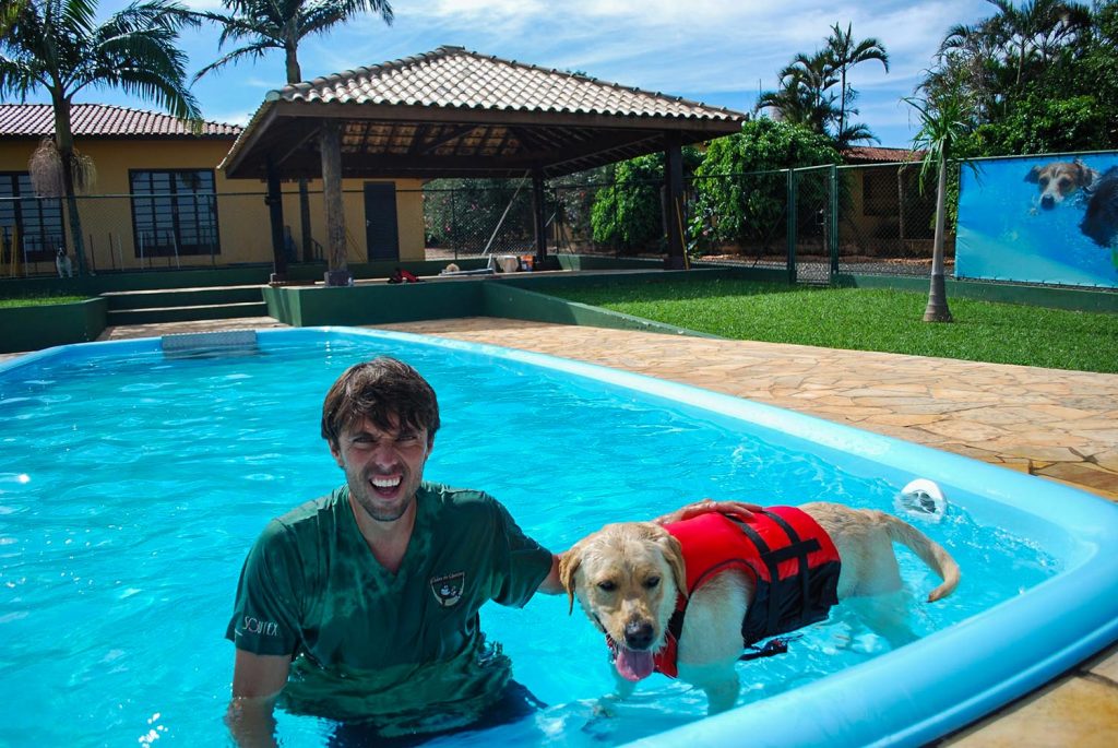 5 características de uma boa hospedagem pet clube de caompo07