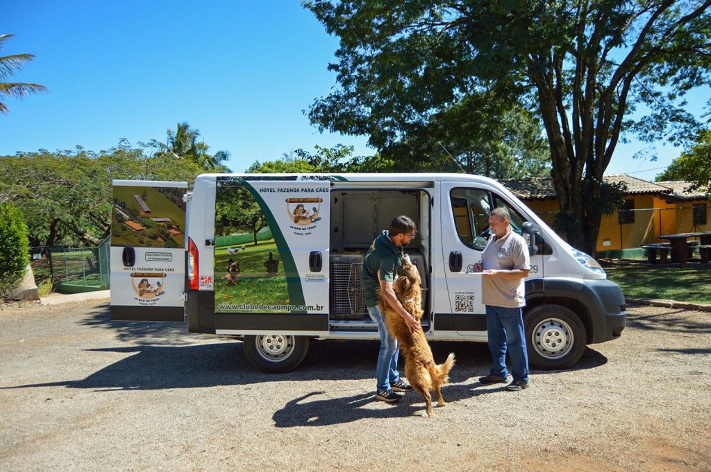 5 características de uma boa hospedagem pet clube de caompo08