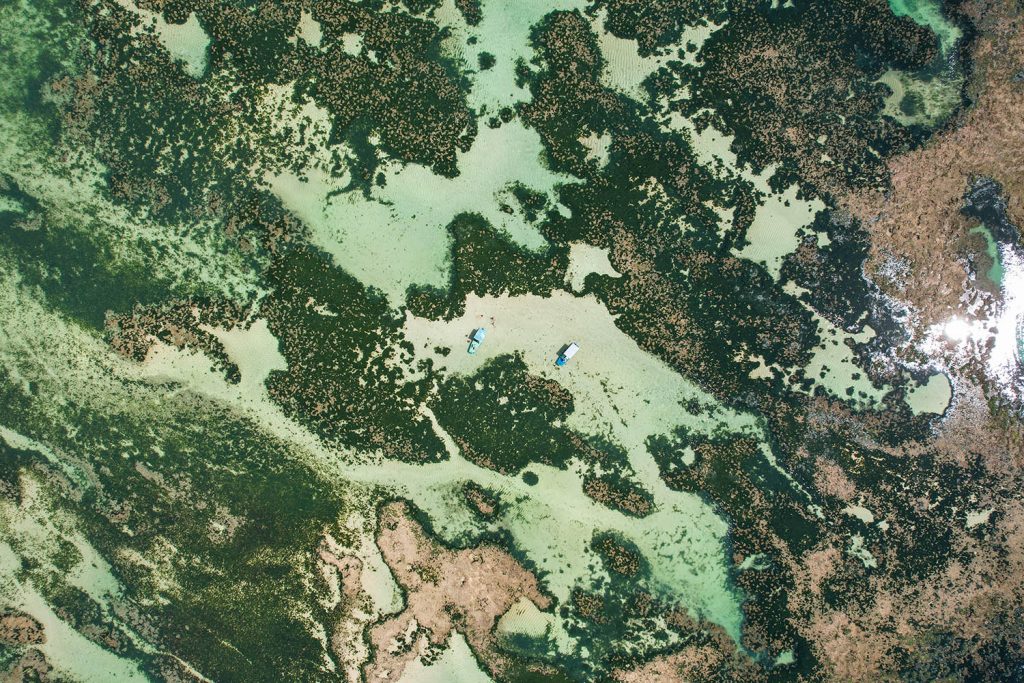 Piscinas Naturais da Ponta Verde (Foto: Andy Spinelli)