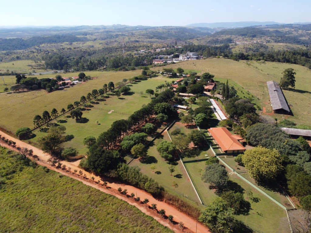 Adaptação da hospedagem canina Clube de Cãompo Itu