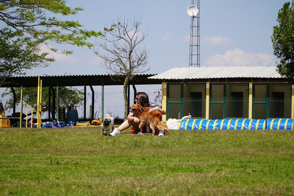 Adaptação da hospedagem canina Pets Viajantes