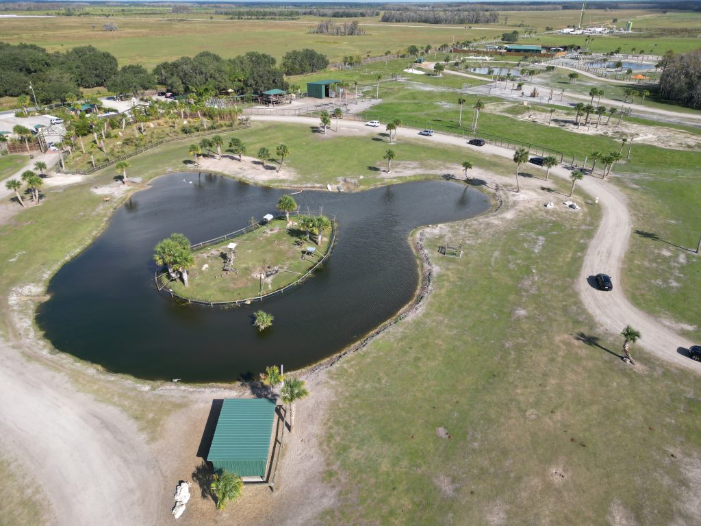 Vegetação com lago no meio