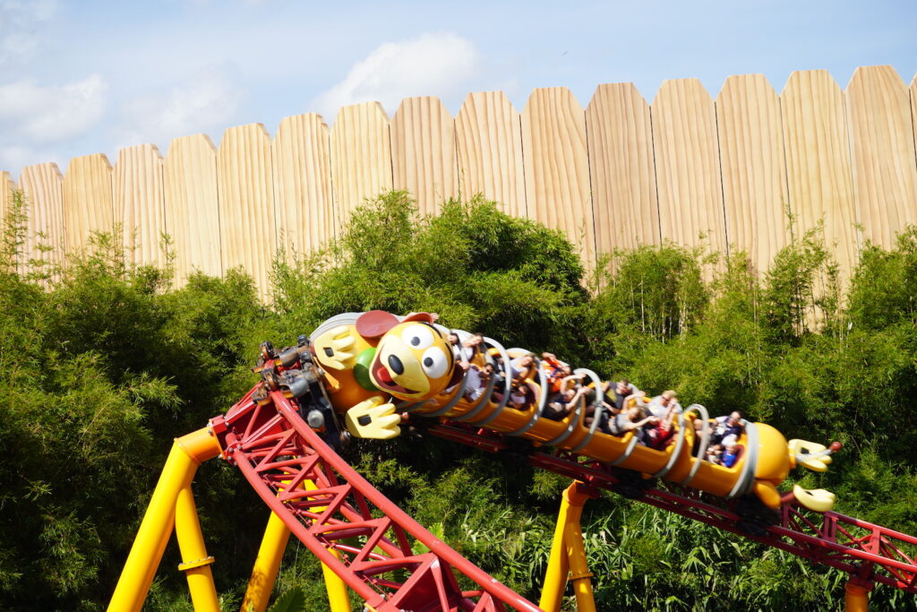 montanha russa com um cachorro na frente