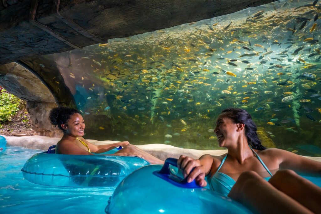 duas mulheres em boias passeando em uma piscina