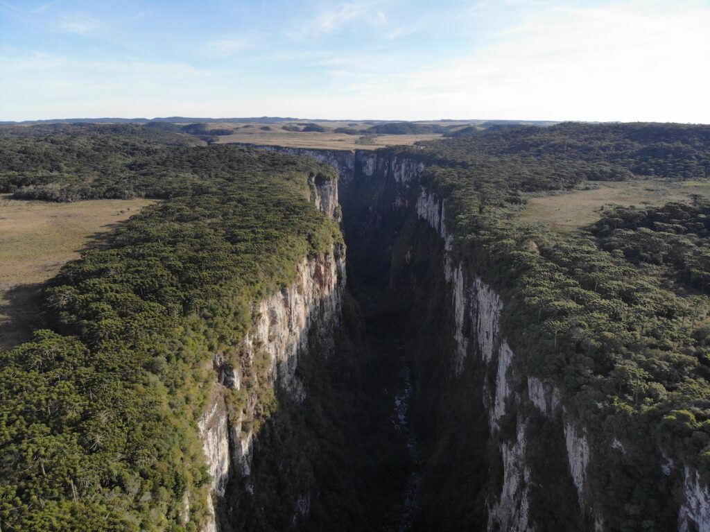 Grande cânion com céu azulado e muita vegetação