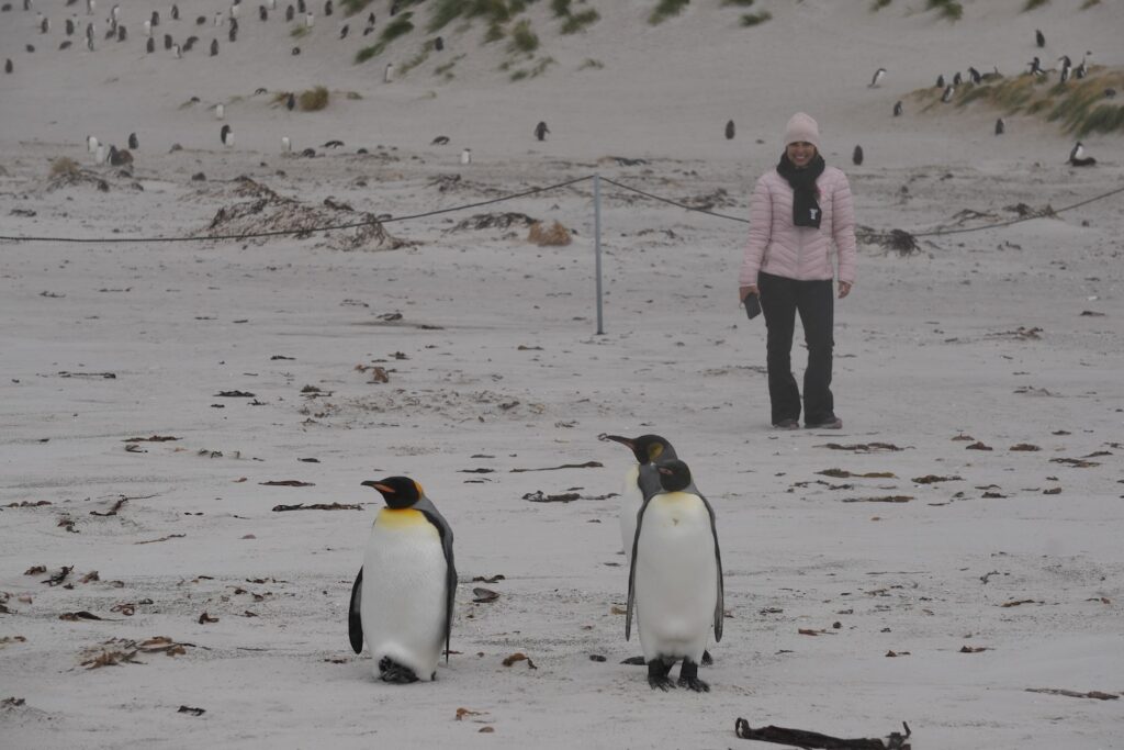 mulher observando dois pinguins em meio a neve. 