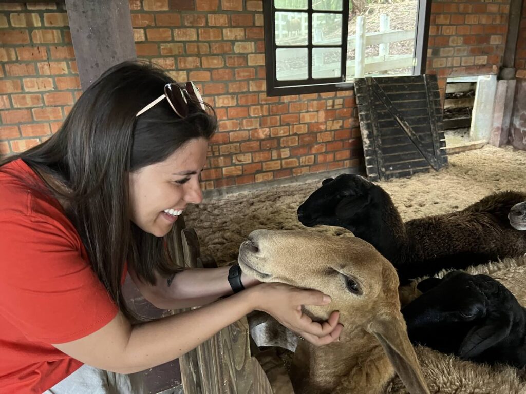 mulher sorrindo para uma ovelha