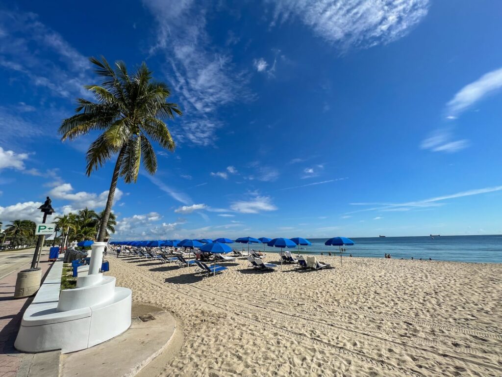 praia de Fort Lauderdale coqueiro com cadeiras de praia e o mar ao fundo, com céu azulado.