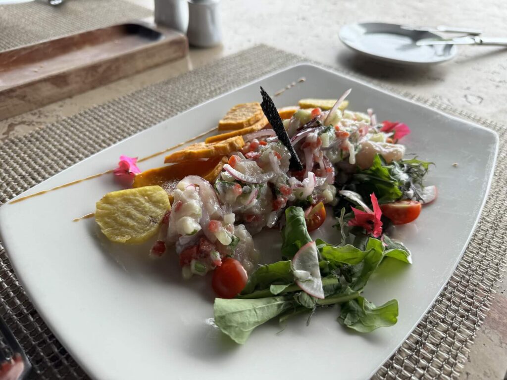 prato com ceviche servido