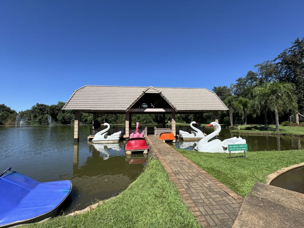 pedalinhos estacionados em um lago