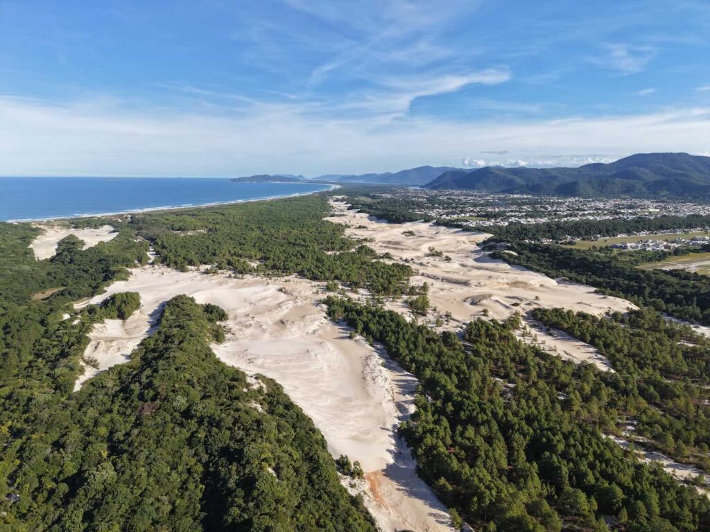 dunas de areia em meio a vegetação, com o mar de fundo. 