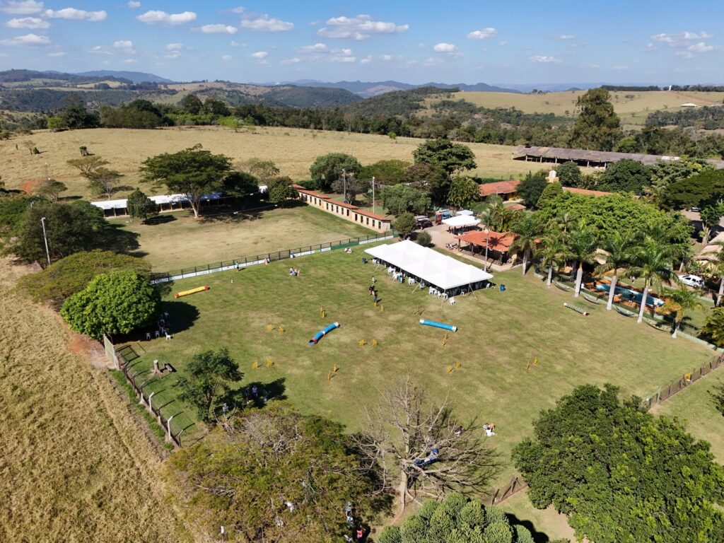 Onde deixar os pets durante as férias DJI 20240616125500 0612 D 1