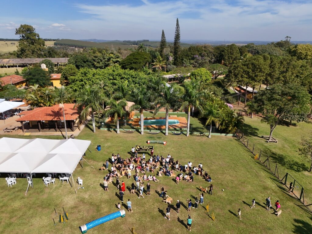 O que olhar em um hotel para cachorros DJI 20240616131633 0665 D