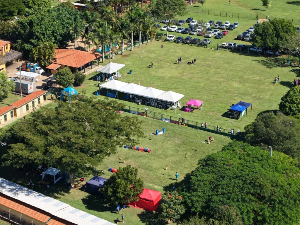 Como deixar os cachorros tranquilos durante as férias? DJI 20250517114531 0102 D 1