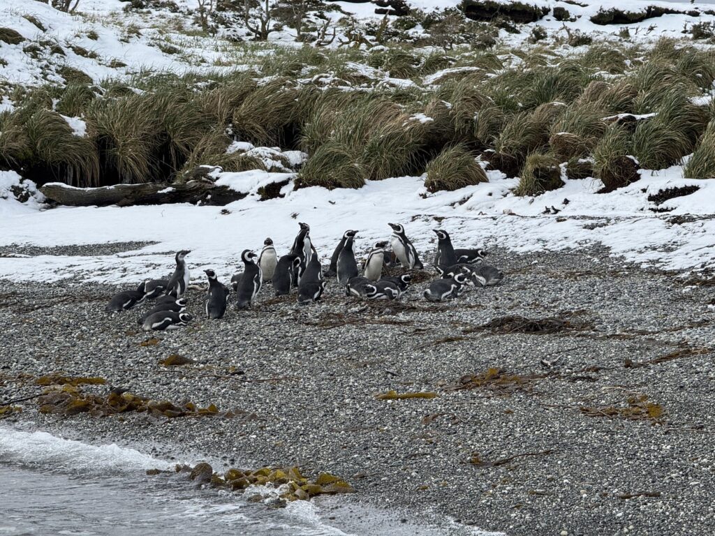Viagem Australis Trecho 1 IMG 0211